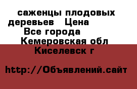 саженцы плодовых деревьев › Цена ­ 6 080 - Все города  »    . Кемеровская обл.,Киселевск г.